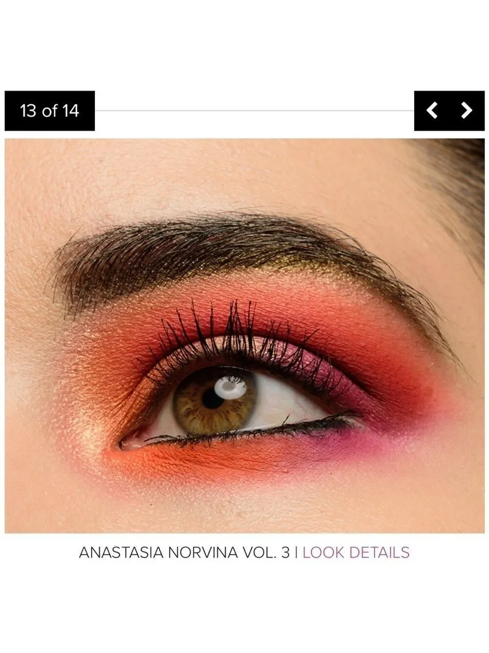 Anastasia Beverly Hills Norvina Vol 3 Pro Pigment Palette